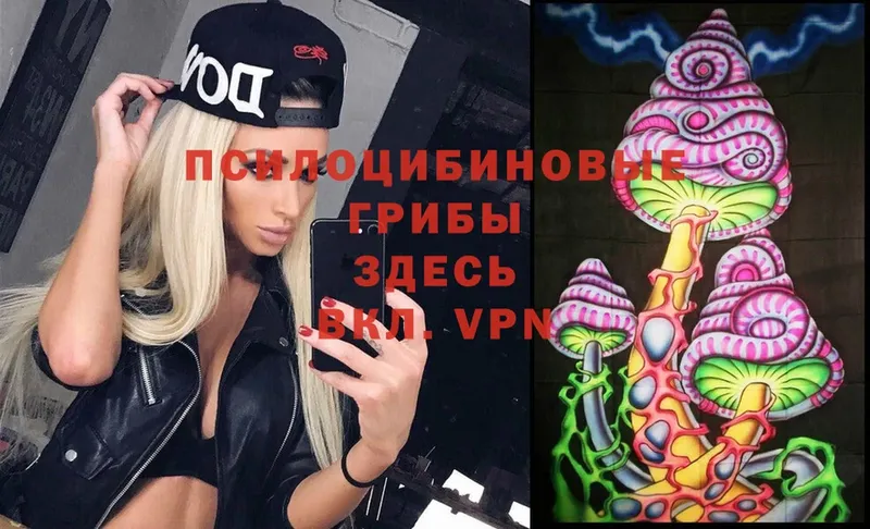 blacksprut tor  Бикин  Галлюциногенные грибы Magic Shrooms  купить наркоту 